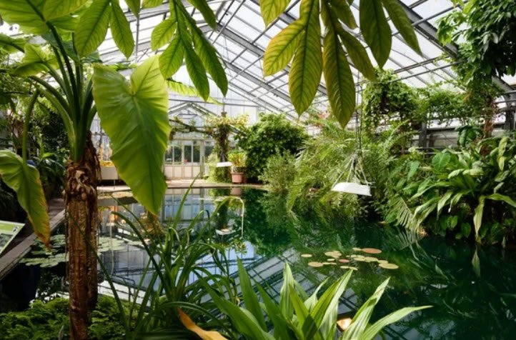 Botanical Garden, Bonn, Bonn, Germany, Germany